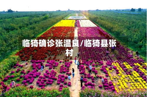 临猗确诊张温良/临猗县张村
