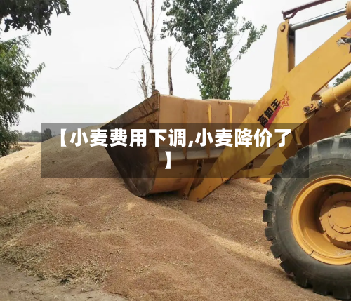 【小麦费用下调,小麦降价了】