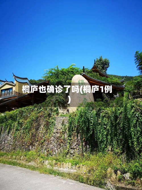 桐庐也确诊了吗(桐庐1例)