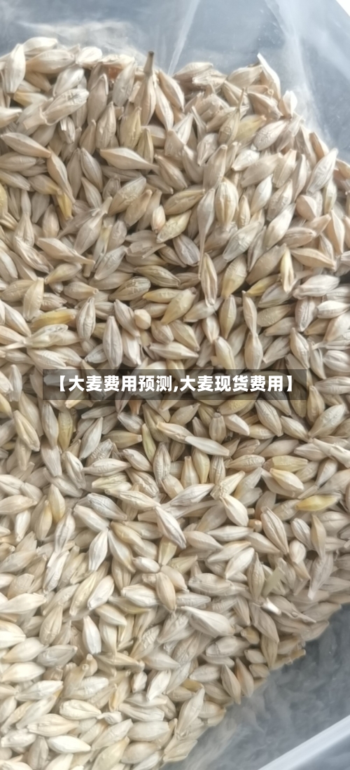 【大麦费用预测,大麦现货费用】-第2张图片