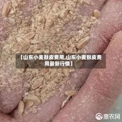 【山东小麦麸皮费用,山东小麦麸皮费用最新行情】