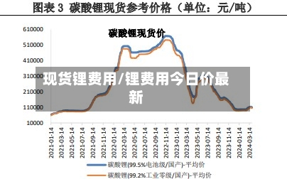 现货锂费用/锂费用今日价最新-第2张图片