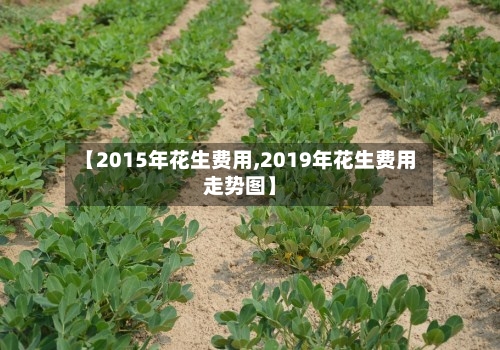 【2015年花生费用,2019年花生费用走势图】-第3张图片
