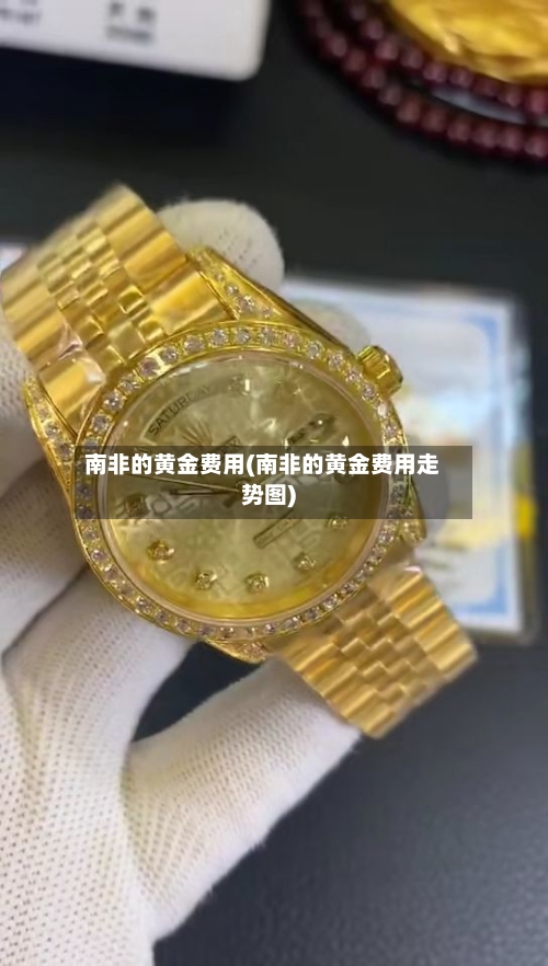 南非的黄金费用(南非的黄金费用走势图)