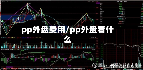 pp外盘费用/pp外盘看什么