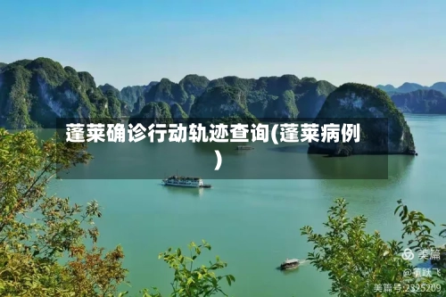 蓬莱确诊行动轨迹查询(蓬莱病例)-第3张图片