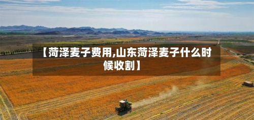 【菏泽麦子费用,山东菏泽麦子什么时候收割】-第3张图片