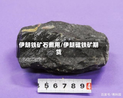 伊朗铁矿石费用/伊朗磁铁矿期货
