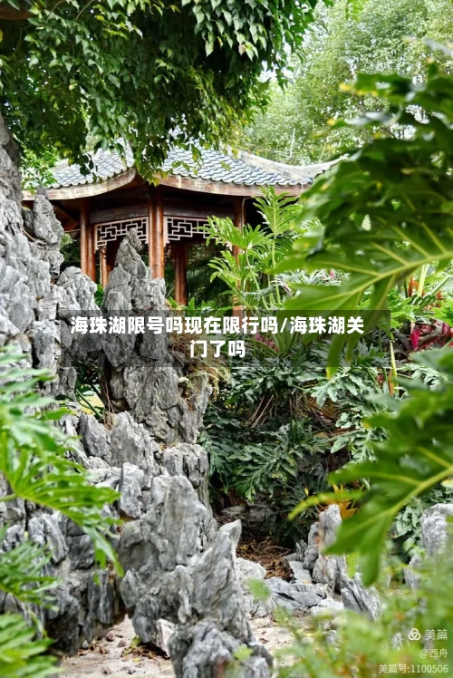 海珠湖限号吗现在限行吗/海珠湖关门了吗-第2张图片
