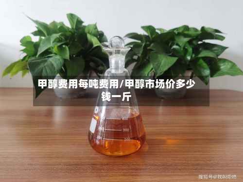 甲醇费用每吨费用/甲醇市场价多少钱一斤-第2张图片