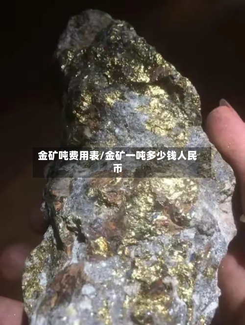 金矿吨费用表/金矿一吨多少钱人民币-第2张图片