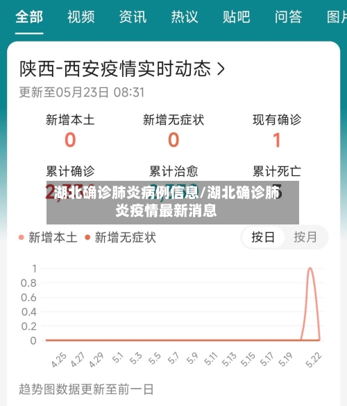 湖北确诊肺炎病例信息/湖北确诊肺炎疫情最新消息-第3张图片