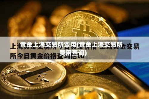 黄金上海交易所费用(黄金上海交易所费用查询)-第2张图片