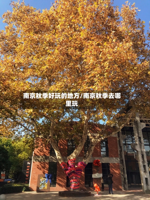南京秋季好玩的地方/南京秋季去哪里玩-第3张图片