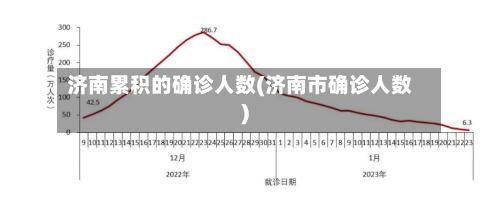 济南累积的确诊人数(济南市确诊人数)-第3张图片