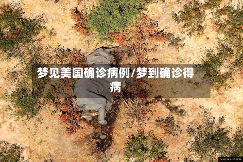 梦见美国确诊病例/梦到确诊得病-第3张图片