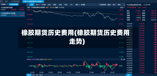 橡胶期货历史费用(橡胶期货历史费用走势)