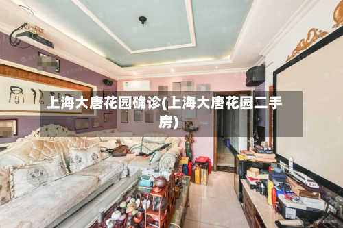 上海大唐花园确诊(上海大唐花园二手房)-第3张图片