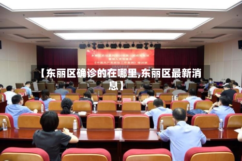 【东丽区确诊的在哪里,东丽区最新消息】