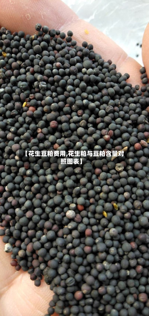 【花生豆粕费用,花生粕与豆粕含量对照图表】-第2张图片