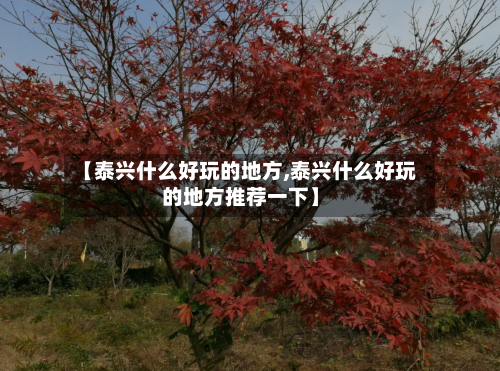 【泰兴什么好玩的地方,泰兴什么好玩的地方推荐一下】