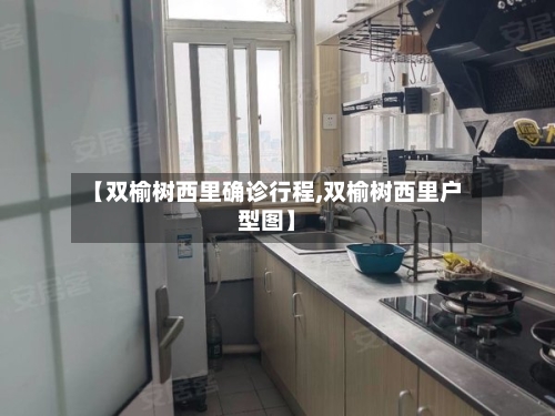 【双榆树西里确诊行程,双榆树西里户型图】-第2张图片
