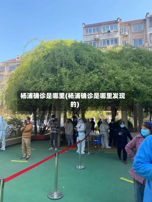 杨浦确诊是哪里(杨浦确诊是哪里发现的)