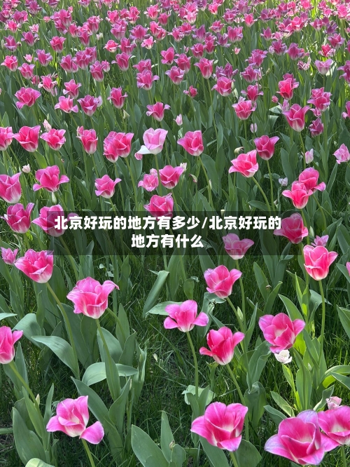 北京好玩的地方有多少/北京好玩的地方有什么