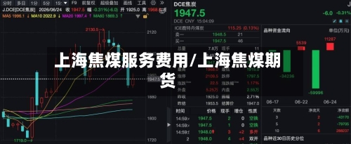 上海焦煤服务费用/上海焦煤期货