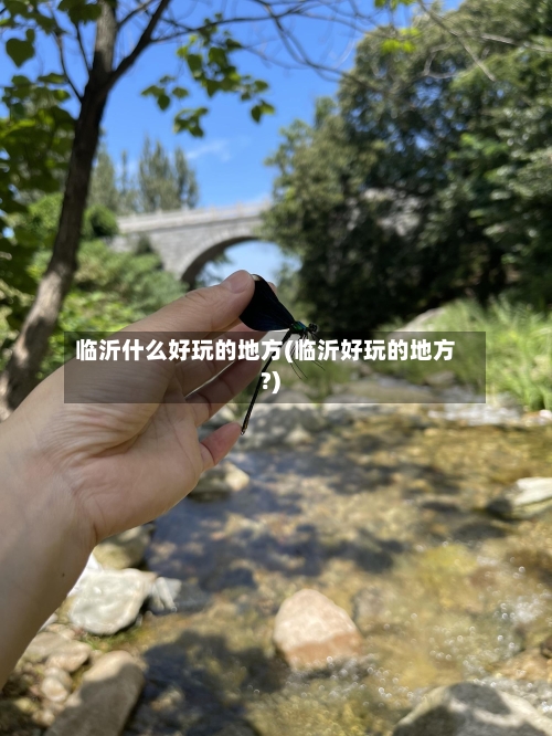 临沂什么好玩的地方(临沂好玩的地方?)