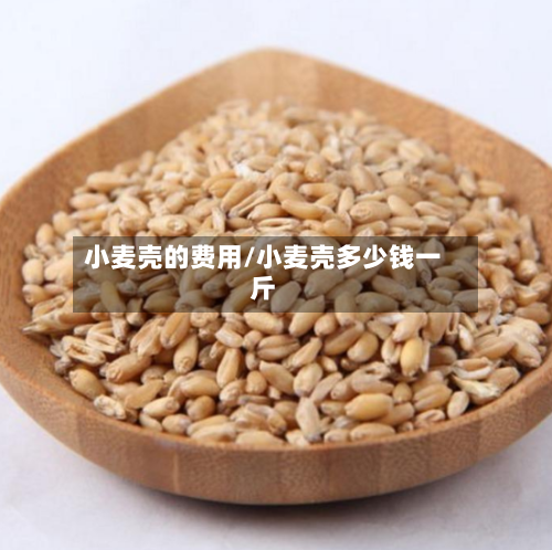 小麦壳的费用/小麦壳多少钱一斤-第3张图片