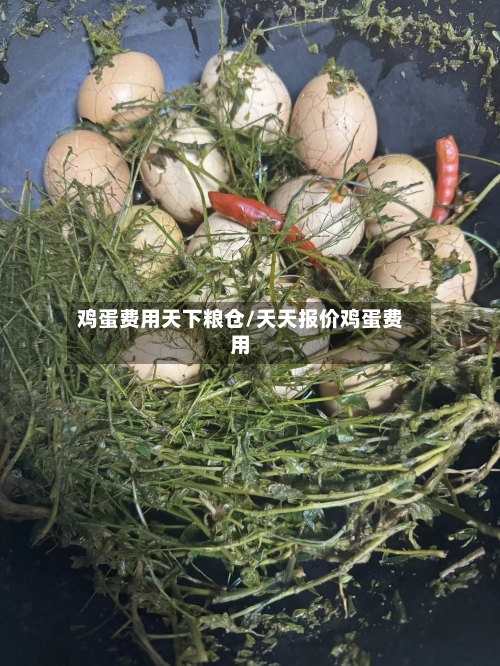 鸡蛋费用天下粮仓/天天报价鸡蛋费用