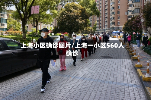 上海小区确诊图片/上海一小区560人确诊-第2张图片