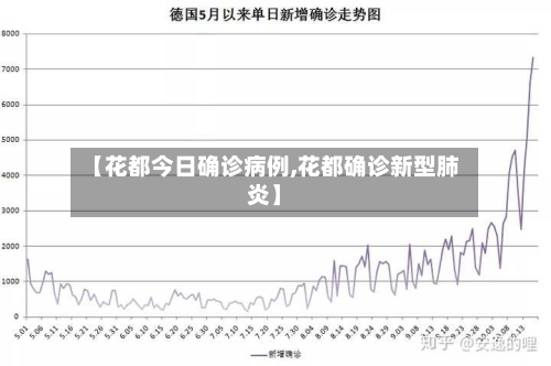 【花都今日确诊病例,花都确诊新型肺炎】-第2张图片