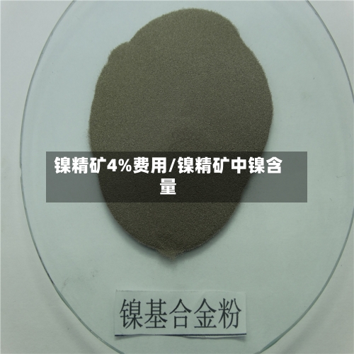 镍精矿4%费用/镍精矿中镍含量-第2张图片