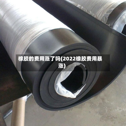 橡胶的费用涨了吗(2022橡胶费用暴涨)
