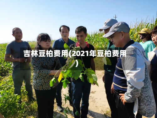吉林豆柏费用(2021年豆柏费用)-第3张图片