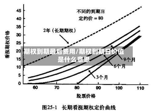 期权到期最后费用/期权到期日价值是什么意思