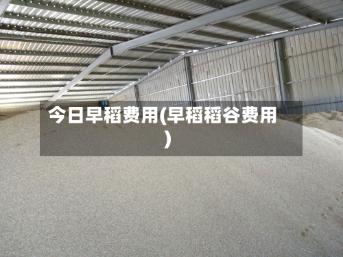 今日早稻费用(早稻稻谷费用)-第2张图片