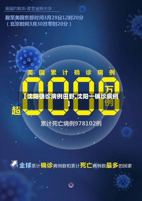 【沈阳确诊病例田野,沈阳一确诊病例】-第2张图片