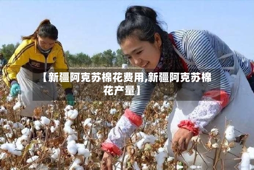 【新疆阿克苏棉花费用,新疆阿克苏棉花产量】-第2张图片