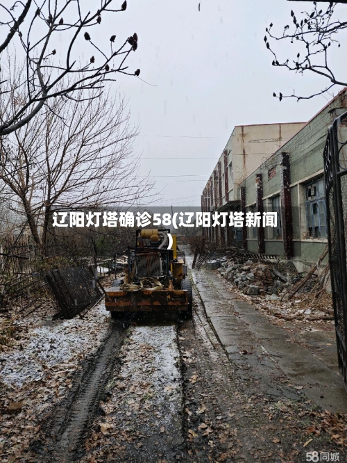 辽阳灯塔确诊58(辽阳灯塔新闻)-第2张图片