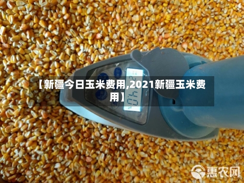 【新疆今日玉米费用,2021新疆玉米费用】