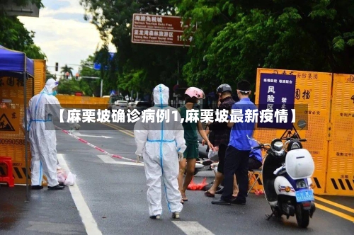 【麻栗坡确诊病例1,麻栗坡最新疫情】-第2张图片