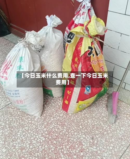 【今日玉米什么费用,查一下今日玉米费用】