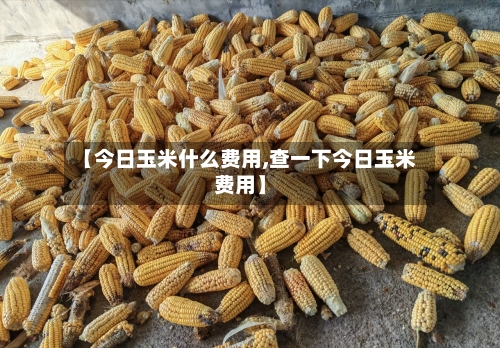 【今日玉米什么费用,查一下今日玉米费用】-第2张图片