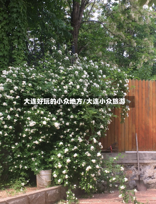 大连好玩的小众地方/大连小众旅游