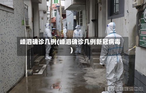 嵊泗确诊几例(嵊泗确诊几例新冠病毒)
