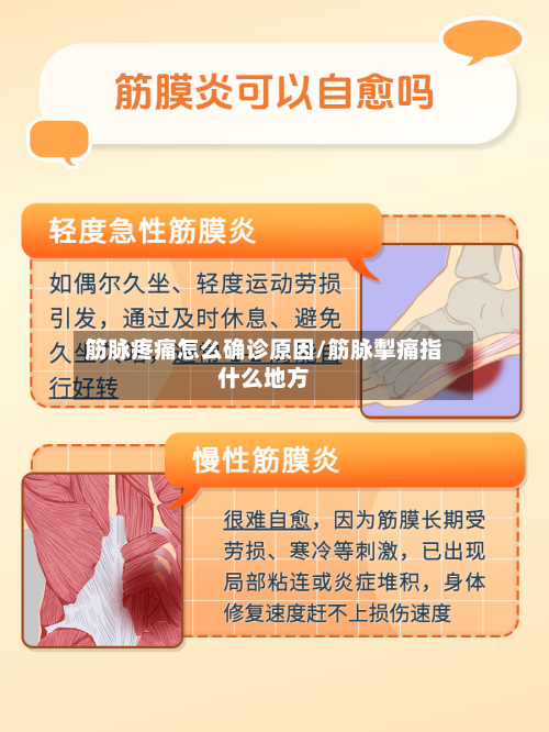 筋脉疼痛怎么确诊原因/筋脉掣痛指什么地方