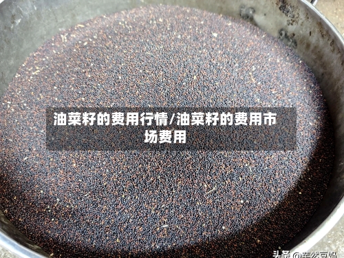 油菜籽的费用行情/油菜籽的费用市场费用